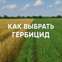 Как выбрать гербицид