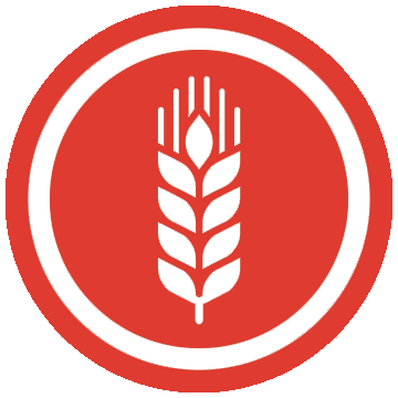 Фунгициды для пшеницы