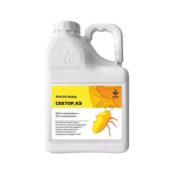 Ангела Саркисян порнода